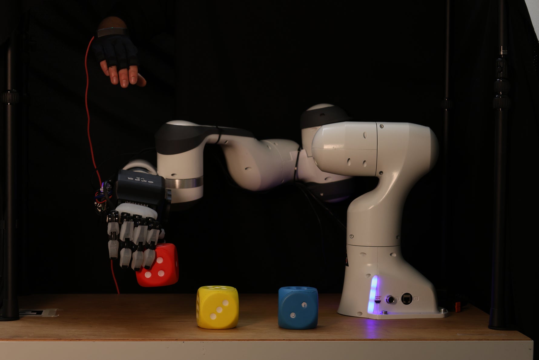 ORCA Dexterity banner